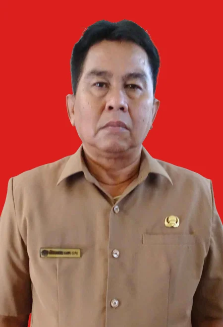 MOHAMAD HAWI, S.Pd.